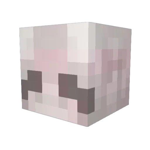 veanetta Minecraft avatar head, 3D render