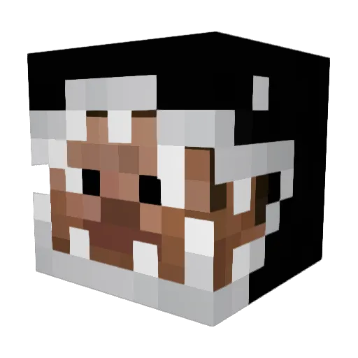veast4 Minecraft avatar head, 3D render
