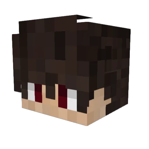 vec1h1 Minecraft avatar head, 3D render