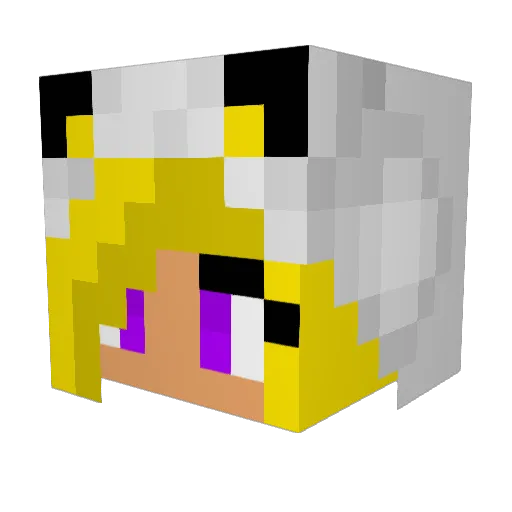 vecaro Minecraft avatar head, 3D render