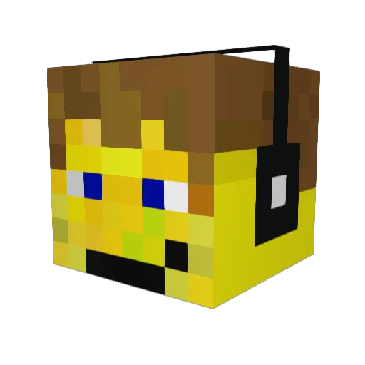 vedaantjp Minecraft avatar head, 3D render