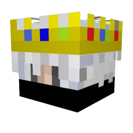 vedanshpro64 Minecraft avatar head, 3D render