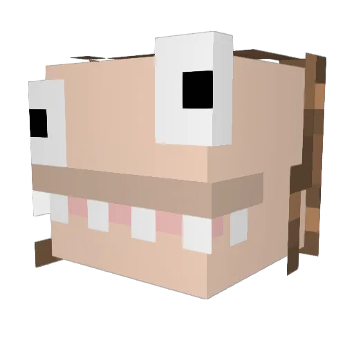 vede24x Minecraft avatar head, 3D render