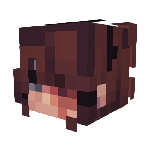 vedger Minecraft avatar head, 3D render