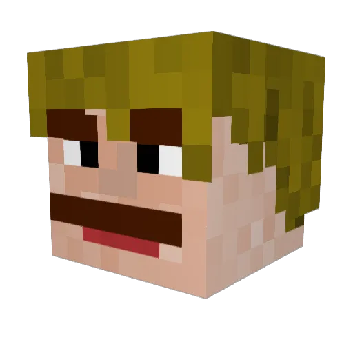 veeevers Minecraft avatar head, 3D render