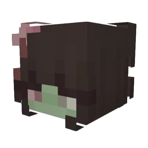 veefrommars Minecraft avatar head, 3D render