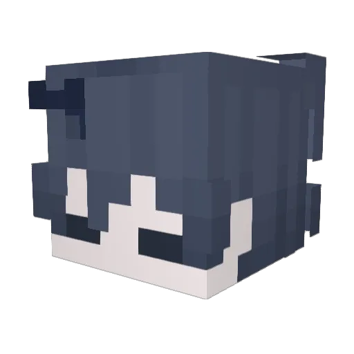 veeidww Minecraft avatar head, 3D render