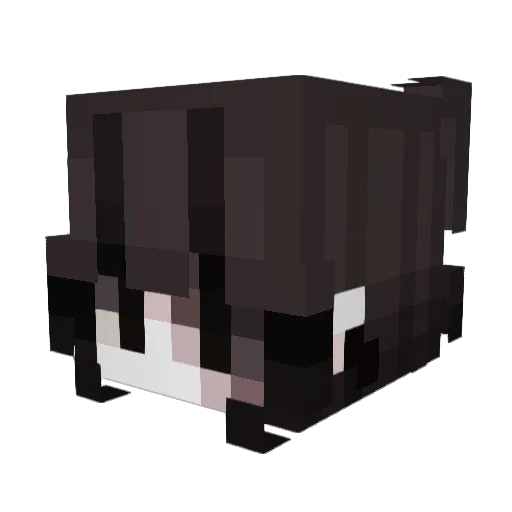 veeily Minecraft avatar head, 3D render