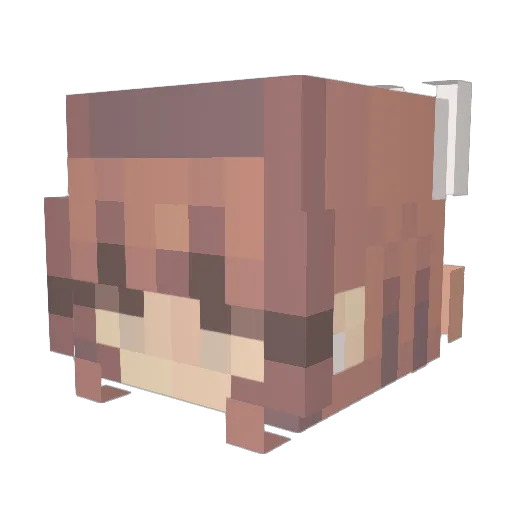 veeray333 Minecraft avatar head, 3D render