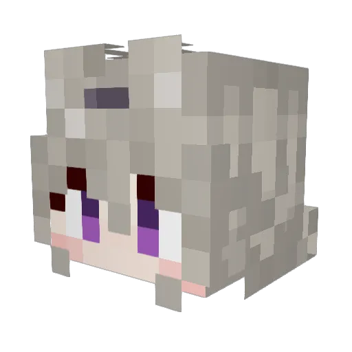 veergdor Minecraft avatar head, 3D render