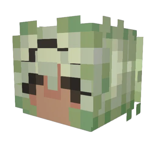 veesune Minecraft avatar head, 3D render