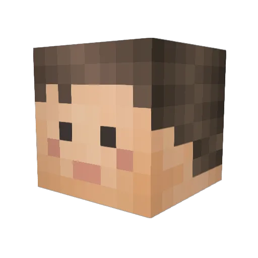 vegasoutrageous Minecraft avatar head, 3D render