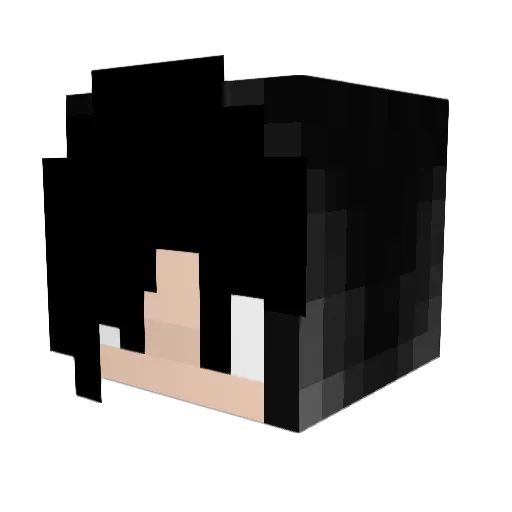 vegetarianshrimp Minecraft avatar head, 3D render