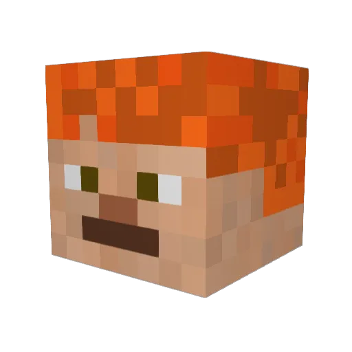 veggieace Minecraft avatar head, 3D render