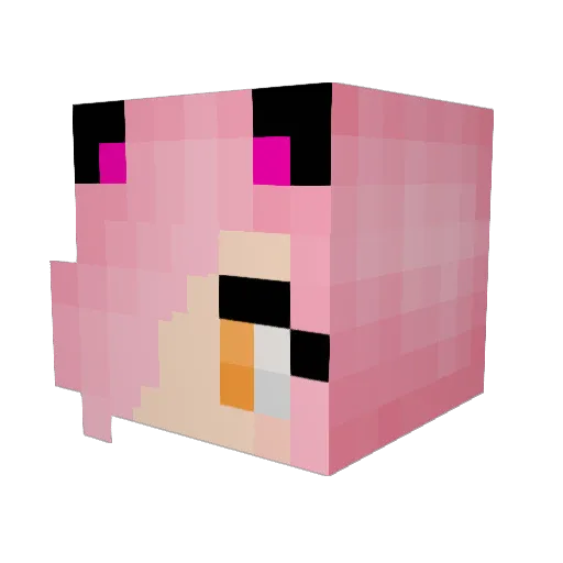 veginovice Minecraft avatar head, 3D render