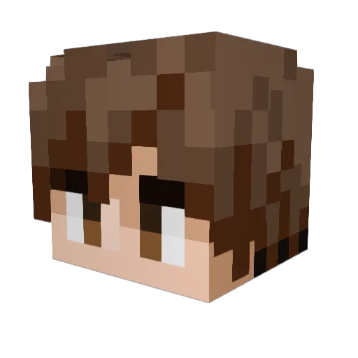 vehviz Minecraft avatar head, 3D render