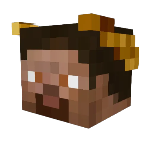 veiis Minecraft avatar head, 3D render
