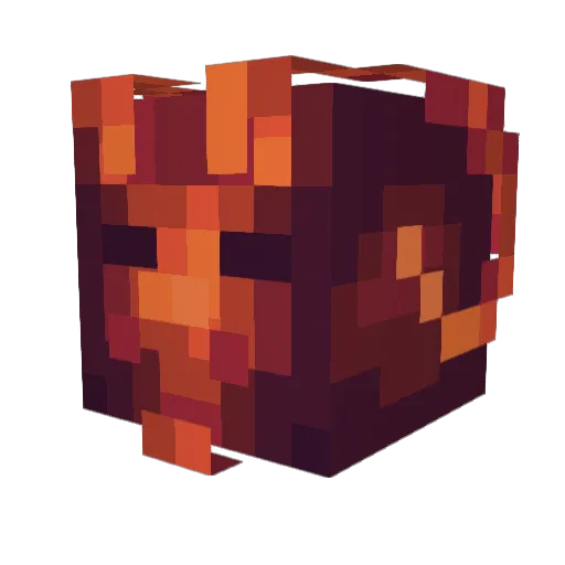 veij Minecraft avatar head, 3D render