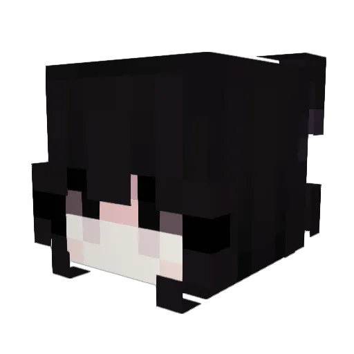 veireNN Minecraft avatar head, 3D render