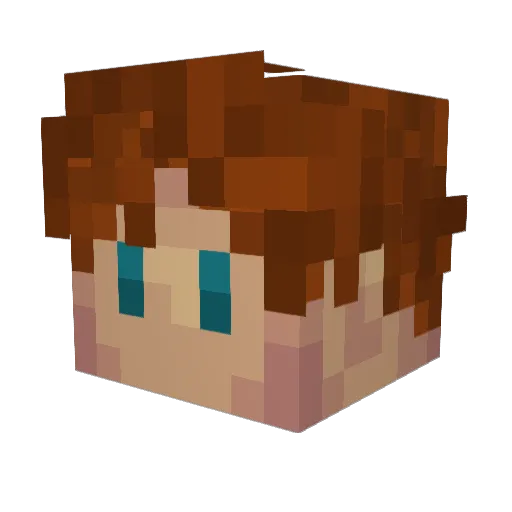 vejsmorsing Minecraft avatar head, 3D render