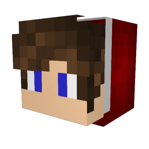 vektor_top_556 Minecraft avatar head, 3D render