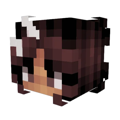 vele_09 Minecraft avatar head, 3D render