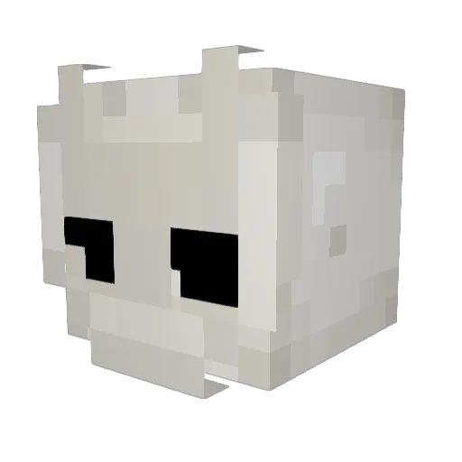 ven0m_cat Minecraft avatar head, 3D render