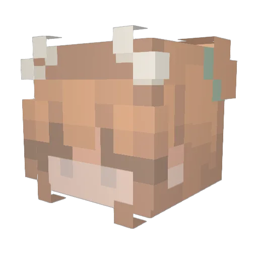 ven606 Minecraft avatar head, 3D render