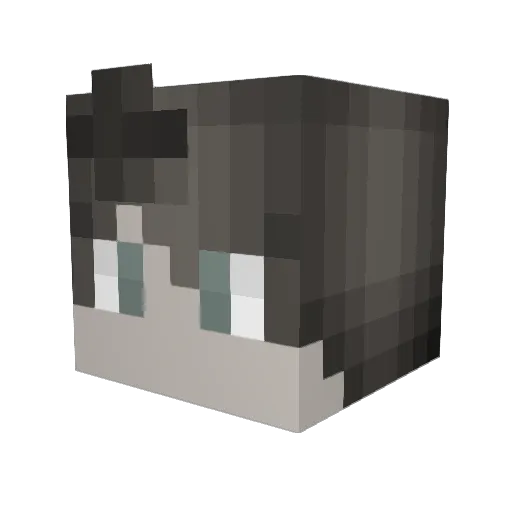 venash Minecraft avatar head, 3D render