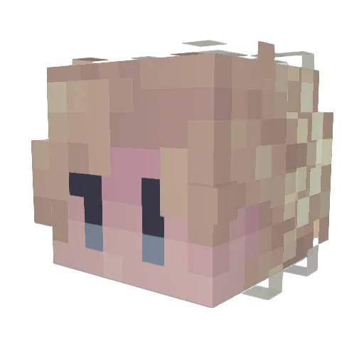 vendettaaa_ Minecraft avatar head, 3D render