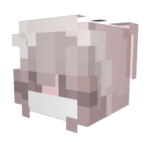 venettaa Minecraft avatar head, 3D render