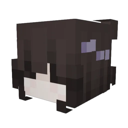 veniceb1tch Minecraft avatar head, 3D render