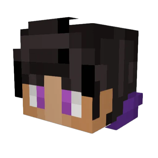 venlafaxinee Minecraft avatar head, 3D render
