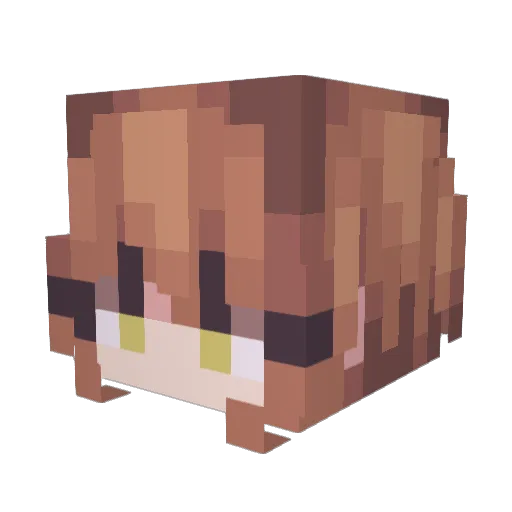 vennd Minecraft avatar head, 3D render