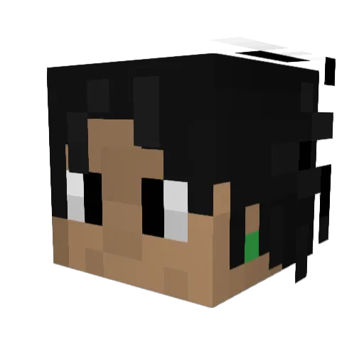 vennlost Minecraft avatar head, 3D render