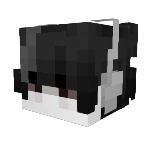 venom11_ Minecraft avatar head, 3D render
