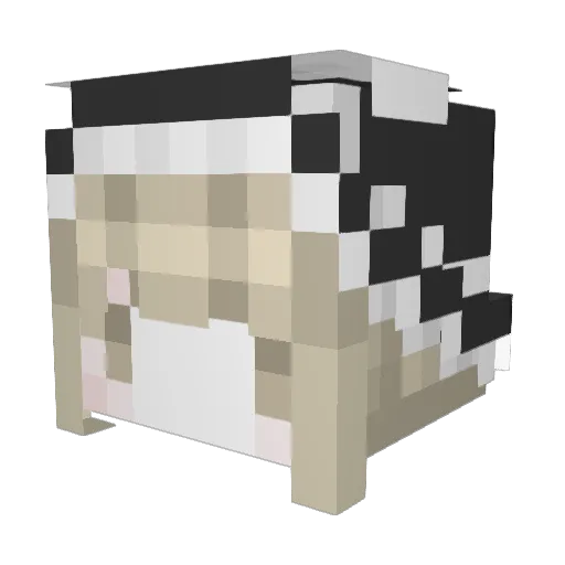 venuss1225 Minecraft avatar head, 3D render