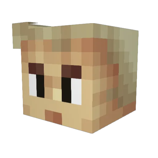 veopoco1913 Minecraft avatar head, 3D render