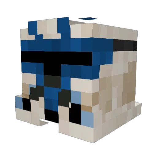 verbinde_LAN Minecraft avatar head, 3D render