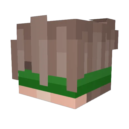 verdannt_ Minecraft avatar head, 3D render