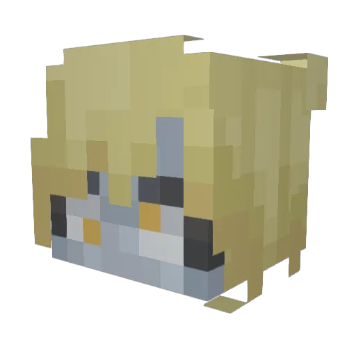 verehrt Minecraft avatar head, 3D render