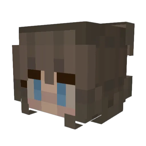 vereveto Minecraft avatar head, 3D render
