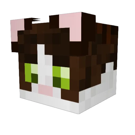 verf1x Minecraft avatar head, 3D render