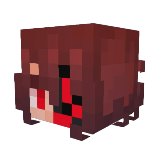 vergil435 Minecraft avatar head, 3D render