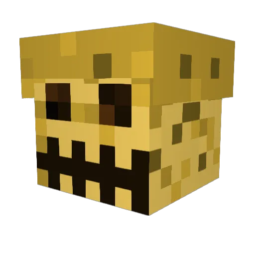 vergin_ Minecraft avatar head, 3D render