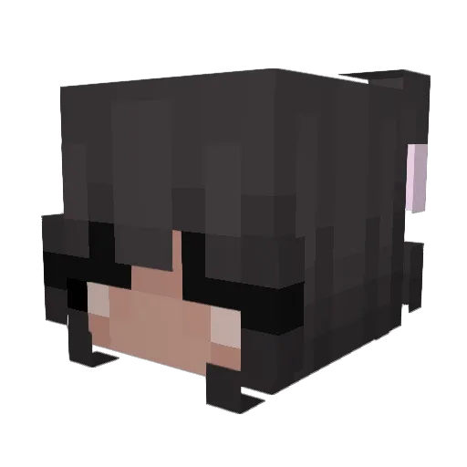 veriberrys Minecraft avatar head, 3D render