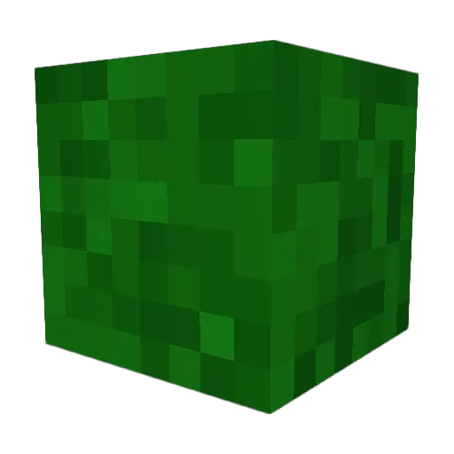 verifications Minecraft avatar head, 3D render