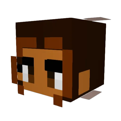 verisimi1itude Minecraft avatar head, 3D render
