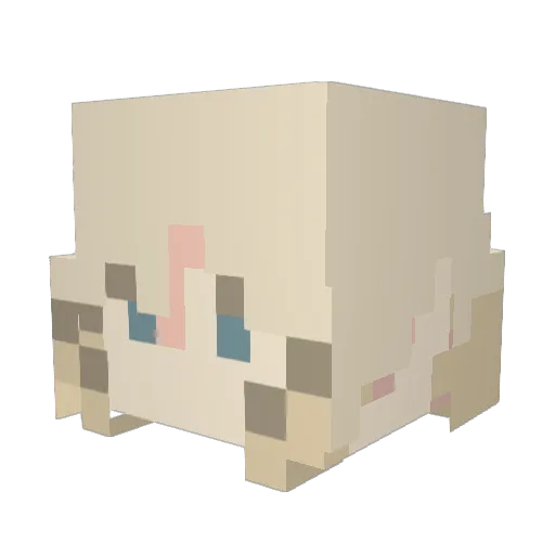 veritiyexe Minecraft avatar head, 3D render