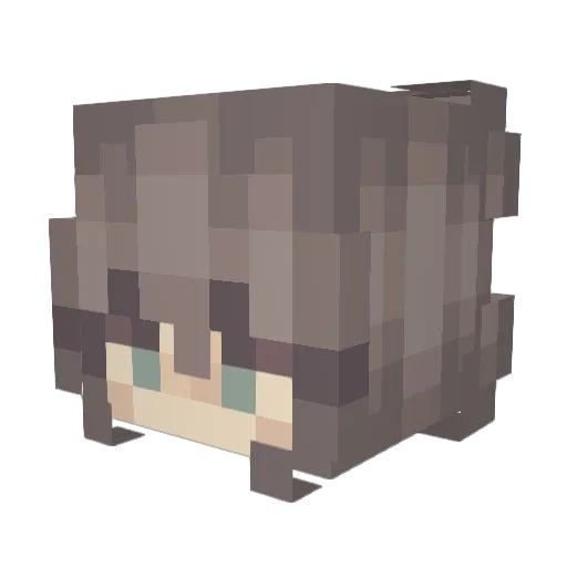 verlifor Minecraft avatar head, 3D render